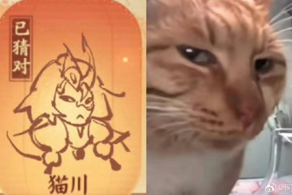 潘宏因虐狗被暗喻“恶人”插图4 潘宏因虐狗被暗喻“恶人”插图4