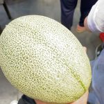 重庆昨夜大风，结果今天就没水了