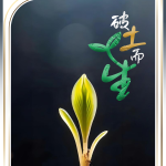 校方回应学生组团狂退60多件裙子